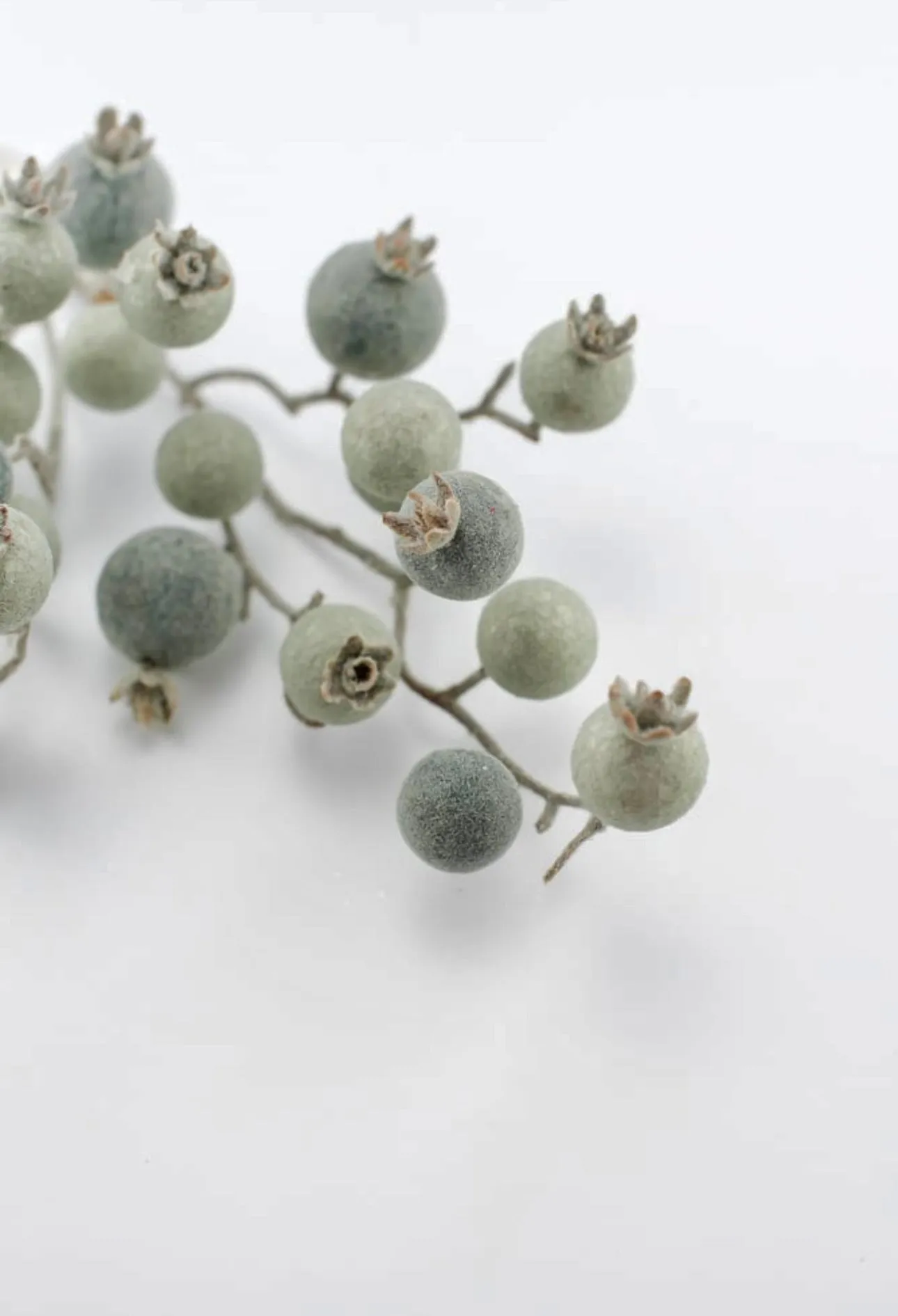 Blue flocked crabapple berry pick