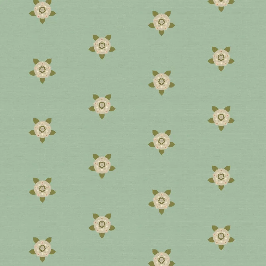 Classy Pista Green Colors Wallpaper for Rooms