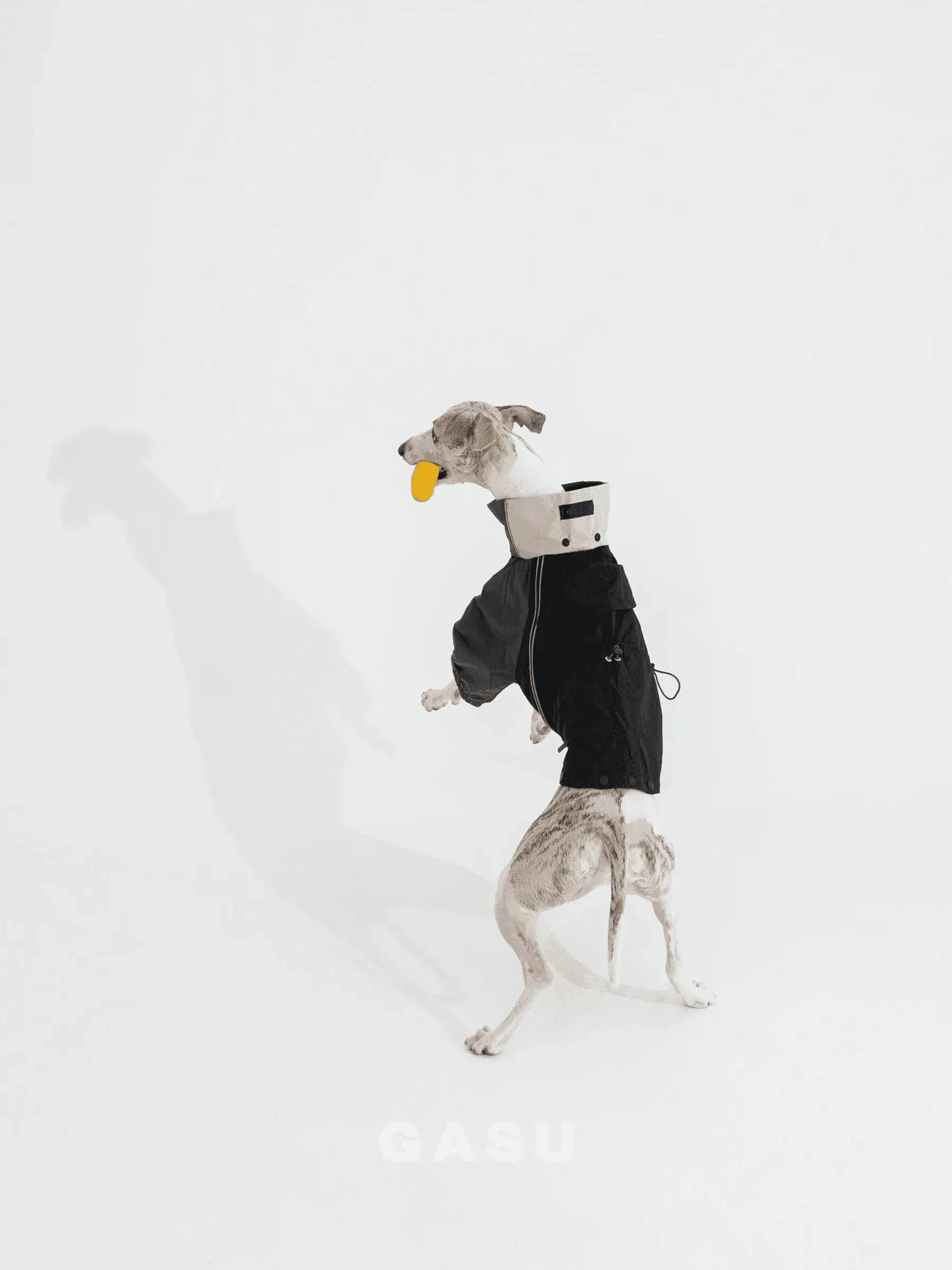 Detachable 4-Leg Dog Raincoat | Coal Grey