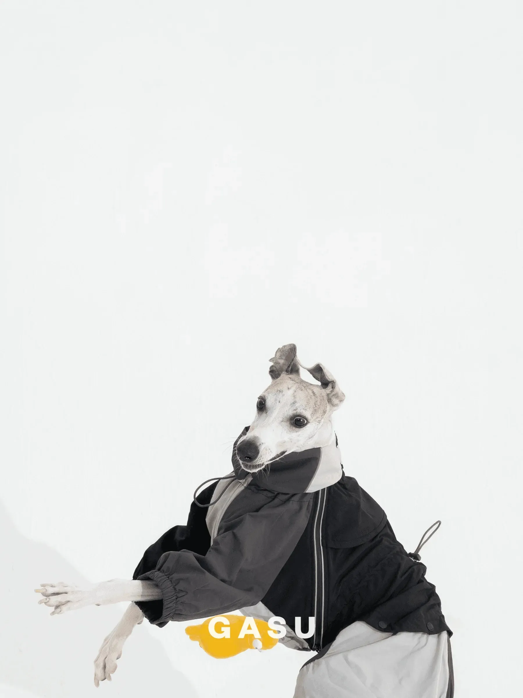 Detachable 4-Leg Dog Raincoat | Coal Grey