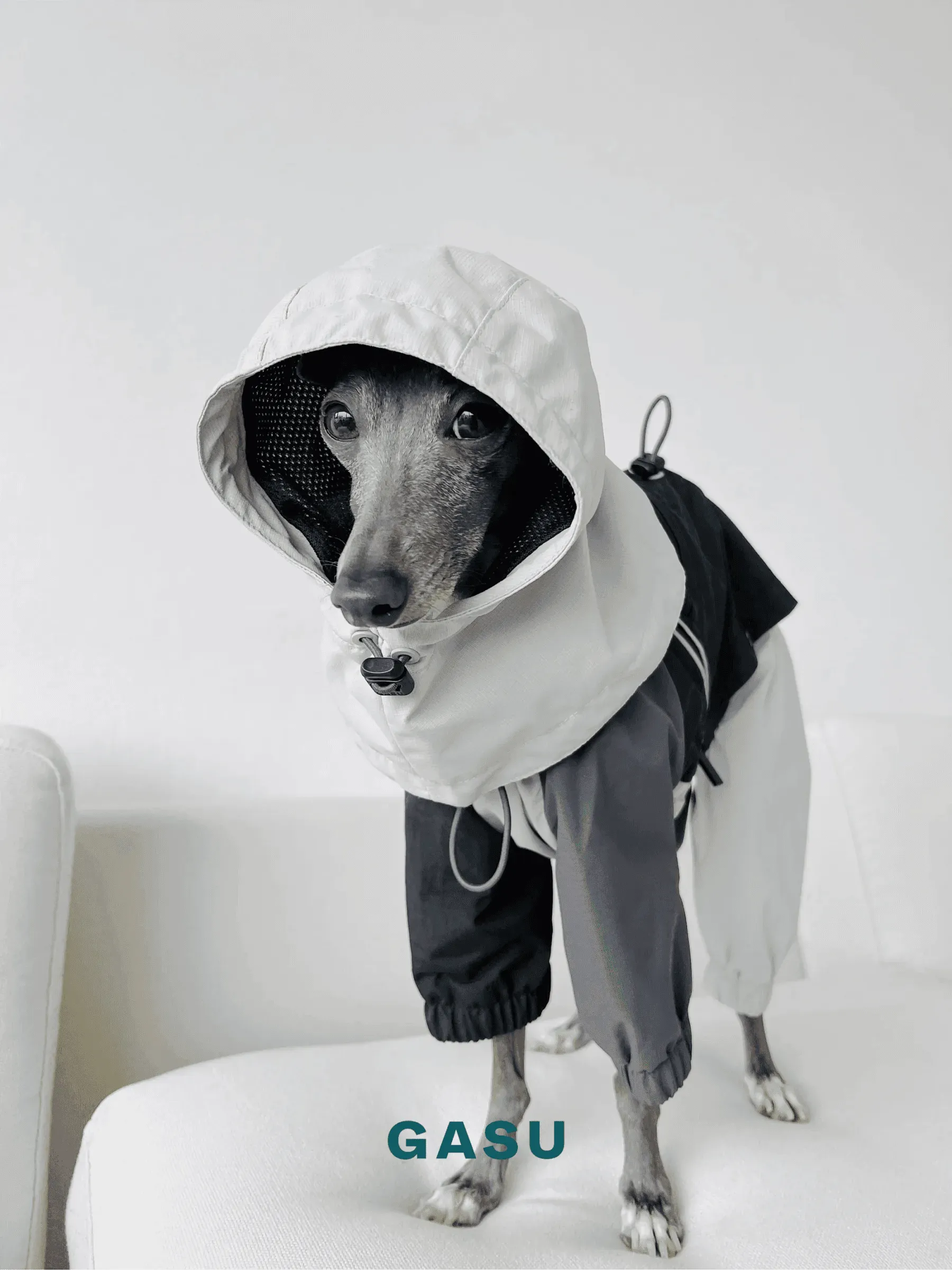 Detachable 4-Leg Dog Raincoat | Coal Grey